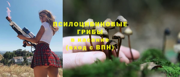 мдпв Вязники